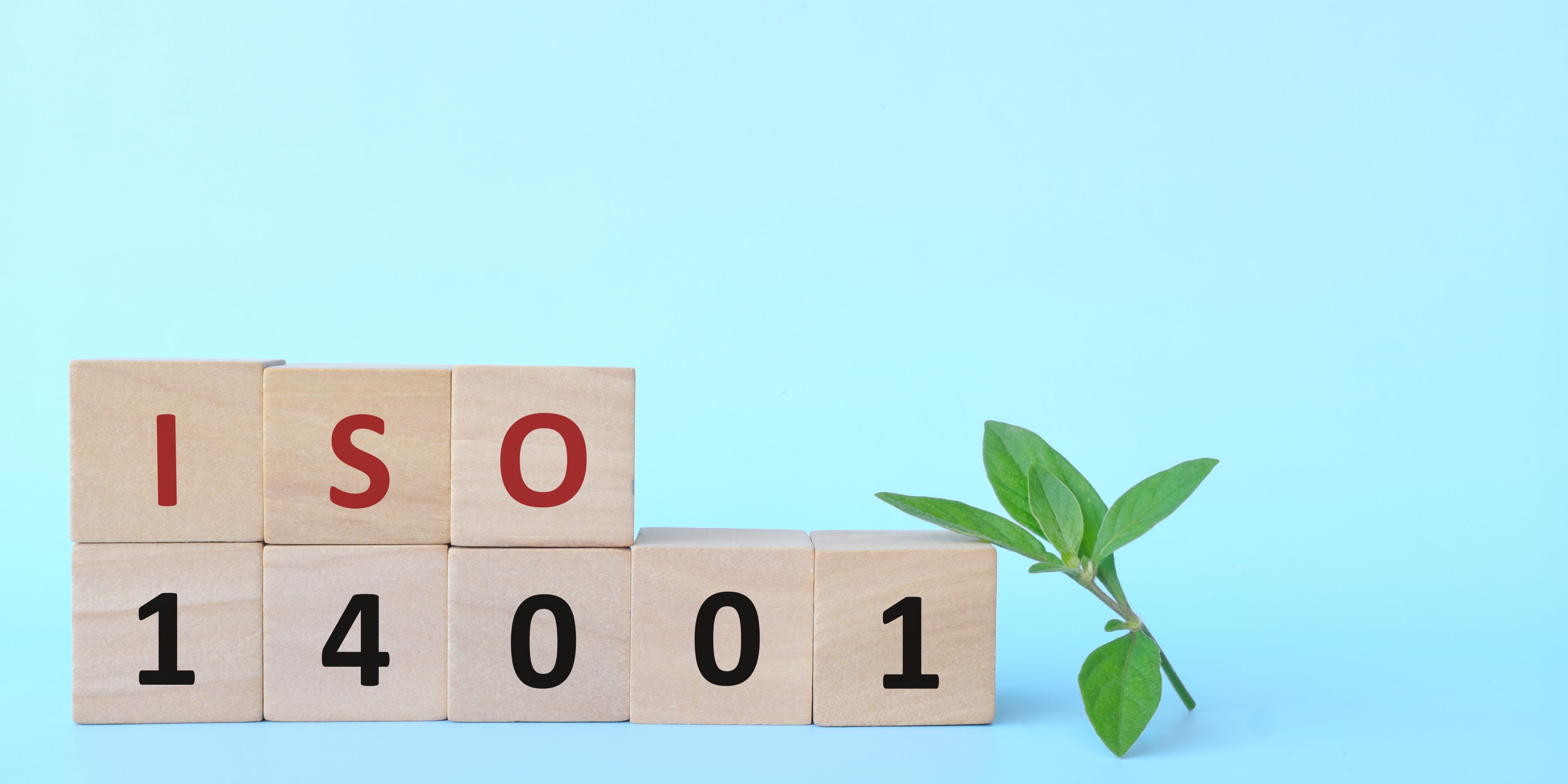 Ontwerp Zonder Titel (6)