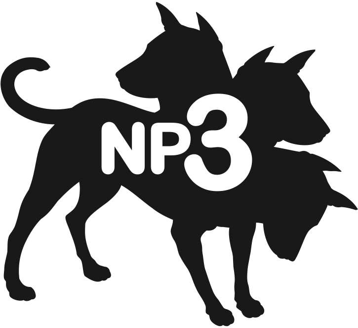 NP3 Galerie en museum voor onderzoekende en experimenterende hedendaagse kunst