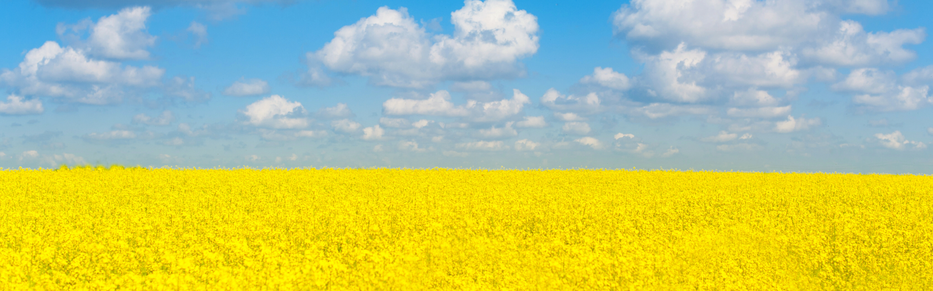 Laten we de lucht klaren